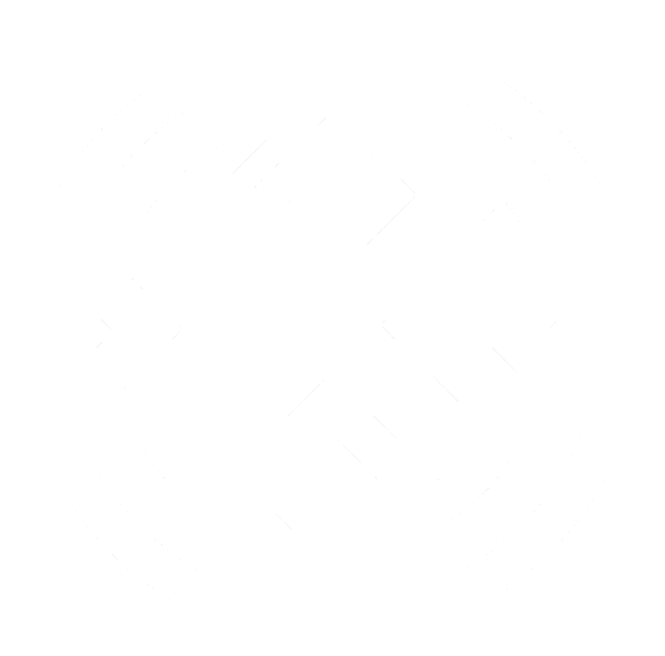 Lee Krieger Guitars